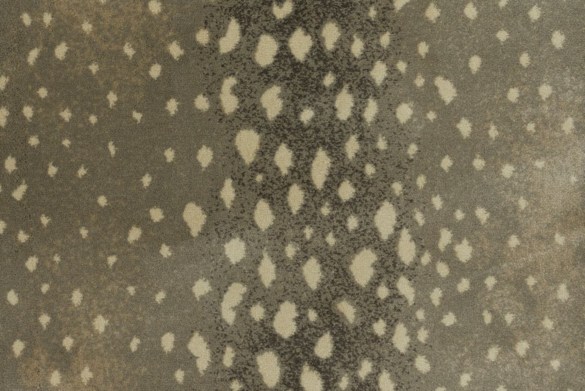 072 Mushroom