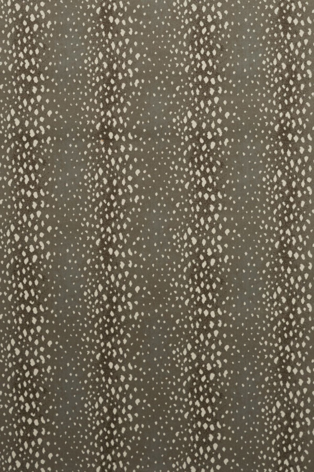 081 Brass