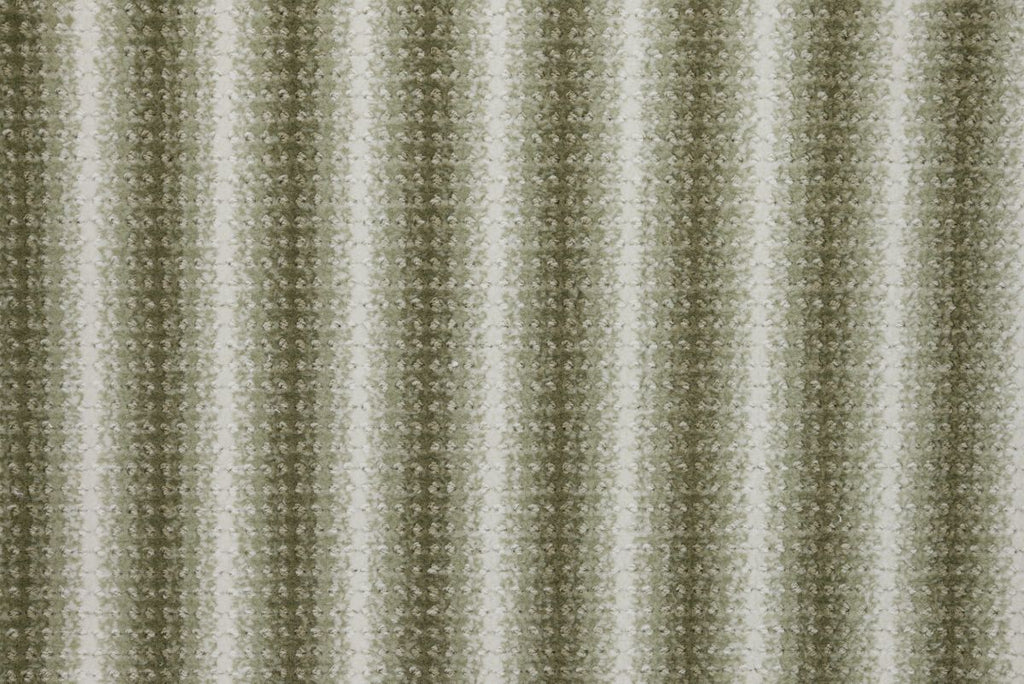 7 Fern