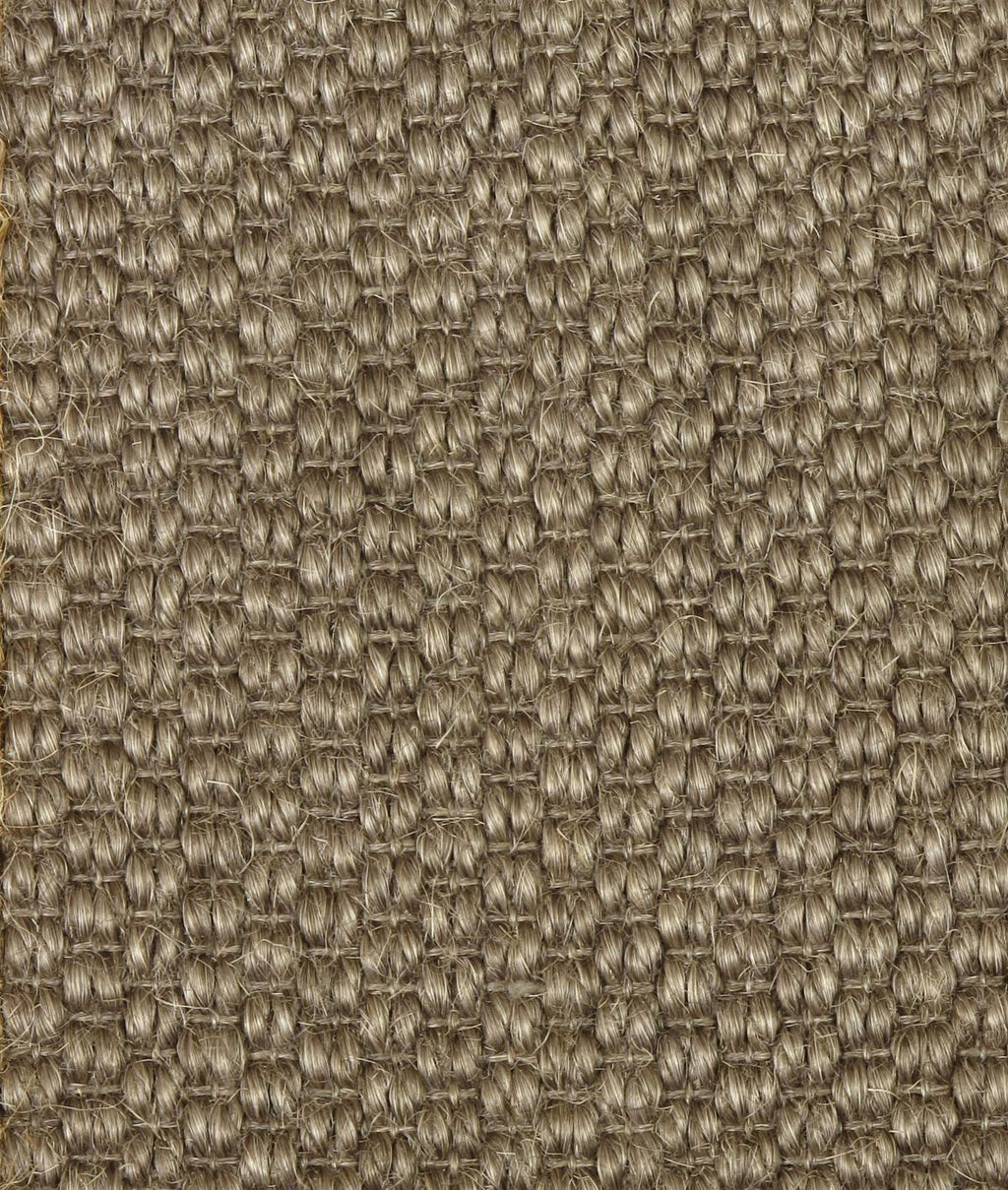 Bark