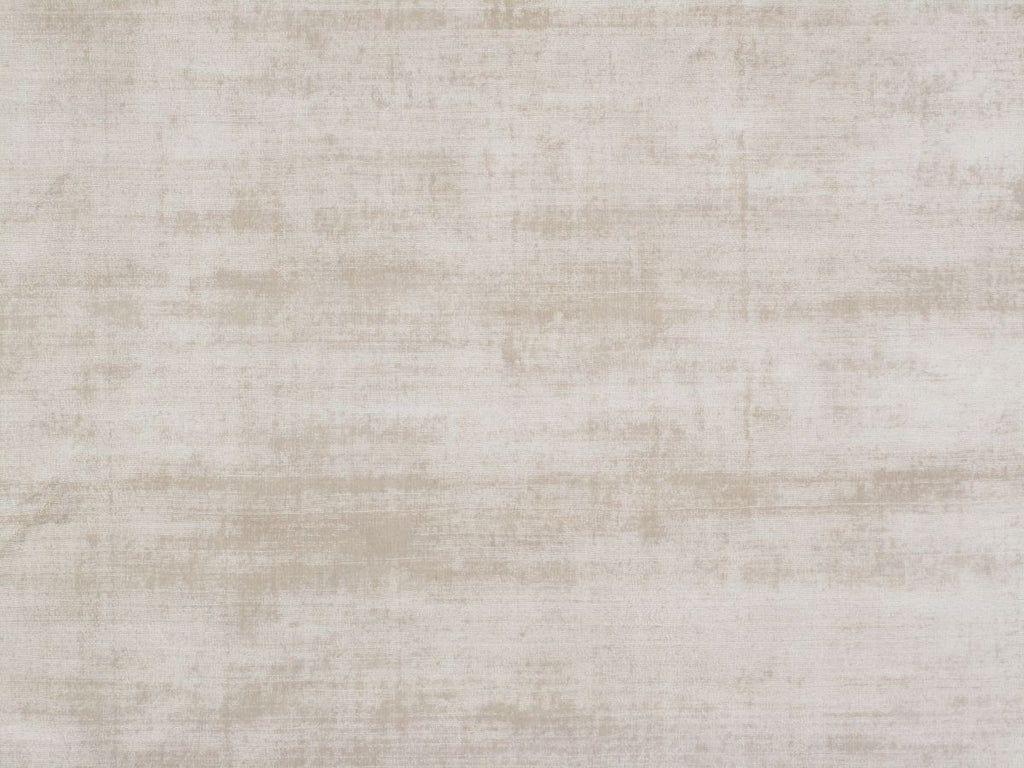 T01000775