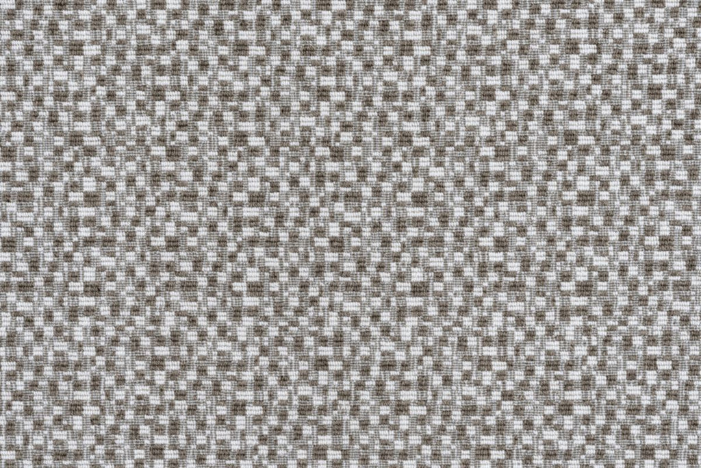 T01002635_CL