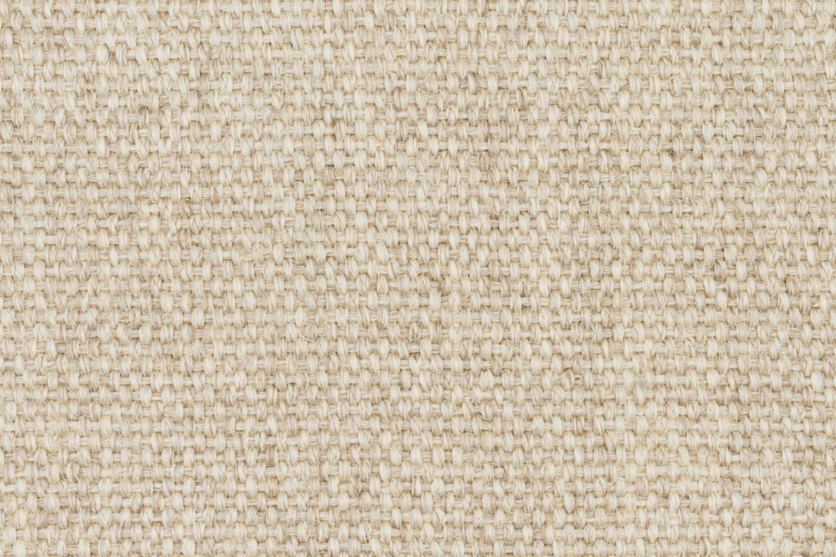 T01006971_CL