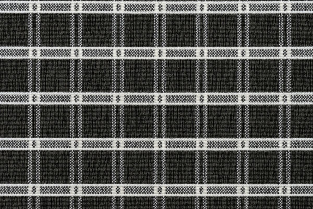 T01009305_CL