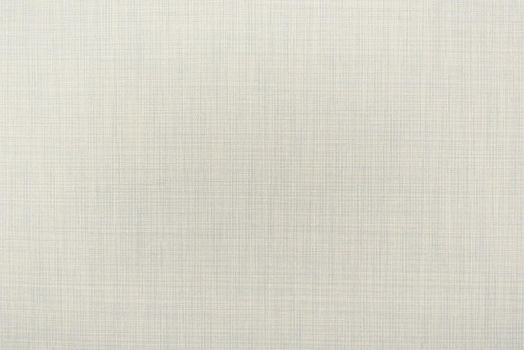 T01009888_ALT2