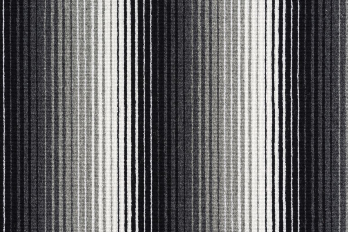T01010645_CL