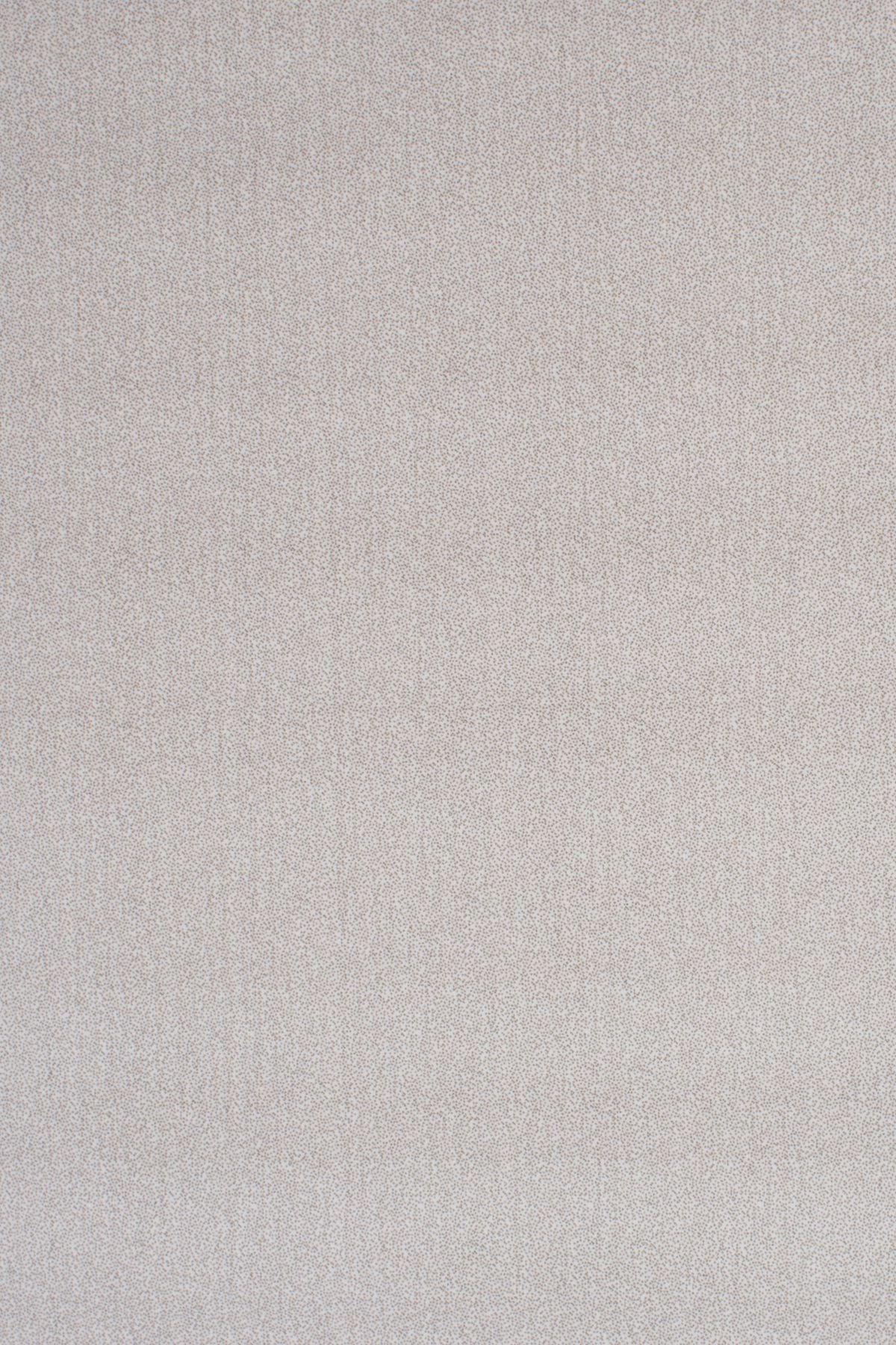 T01010727_ALT2